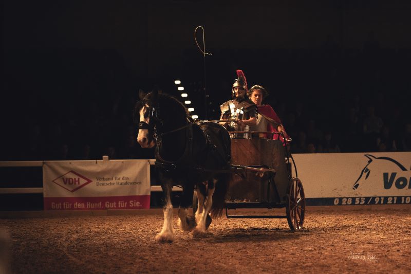 Hund und Pferd 2024 Gladiator Horses